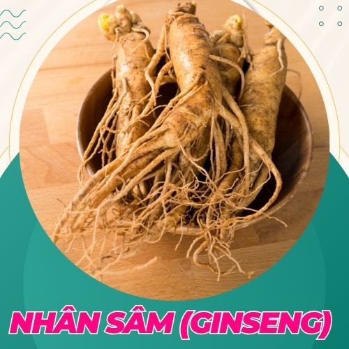 nhân sâm giúp tăng cường khả năng mang thai tự nhiên