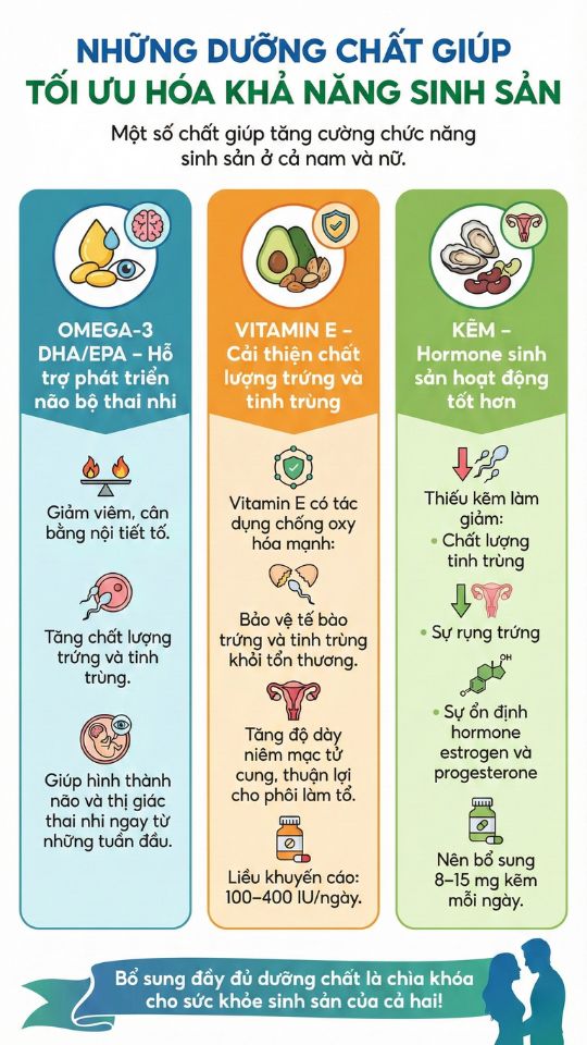 dưỡng dưỡng chất giúp tối ưu khả năng sinh sản