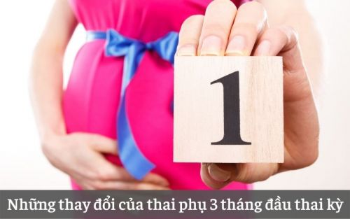 Những thay đổi của mẹ và thai nhi giai đoạn đầu thai kỳ