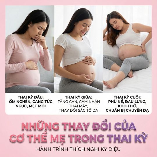 những thay đổi của cơ thể mẹ bầu trong thai kỳ