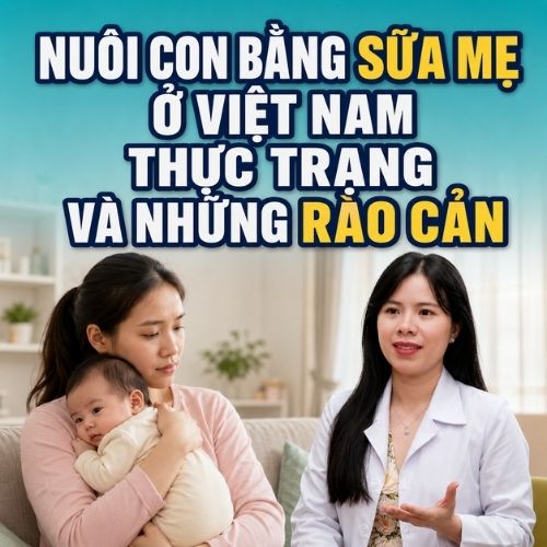 Nuôi con bằng sữa mẹ ở Việt Nam: Thực trạng và những rào cản