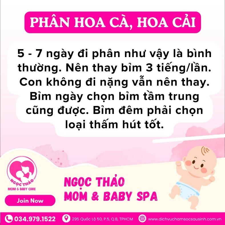 phân hoa cà hoa cải co tốt không