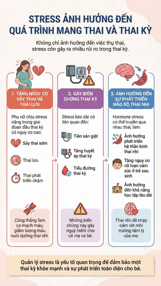 stress ảnh hưởng đến quá trình mang thai và thai kỳ