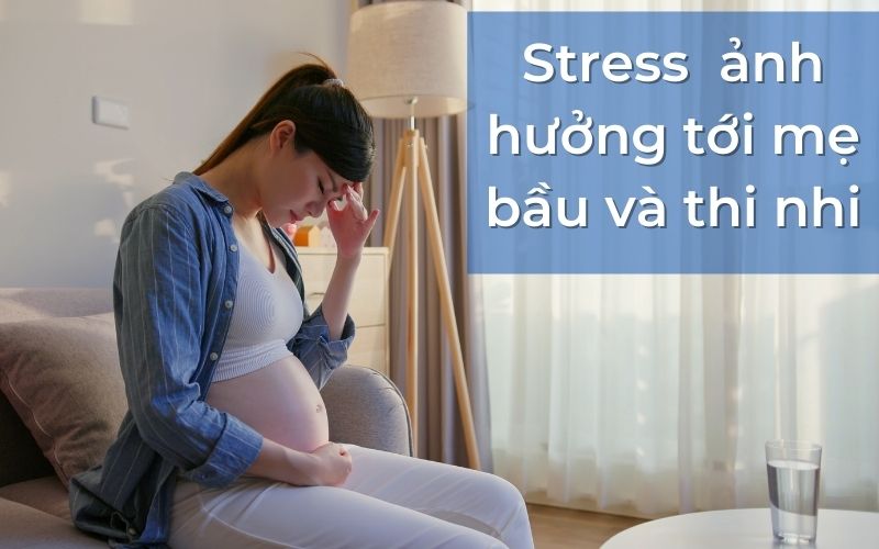 Stress khi mang thai ảnh hưởng tới mẹ bầu và thai nhi