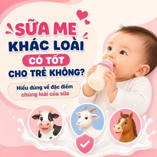 Sữa mẹ khác loài và đặc điểm chủng loài