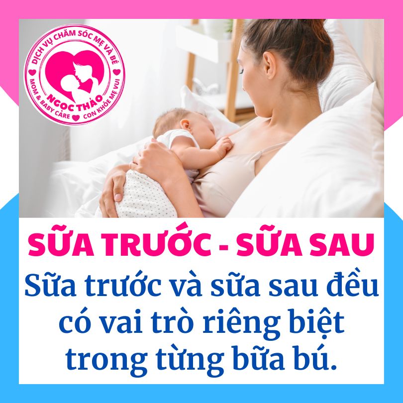 sữa trước và sữa sau đều có vai trò quan trọng giúp bé phát triển