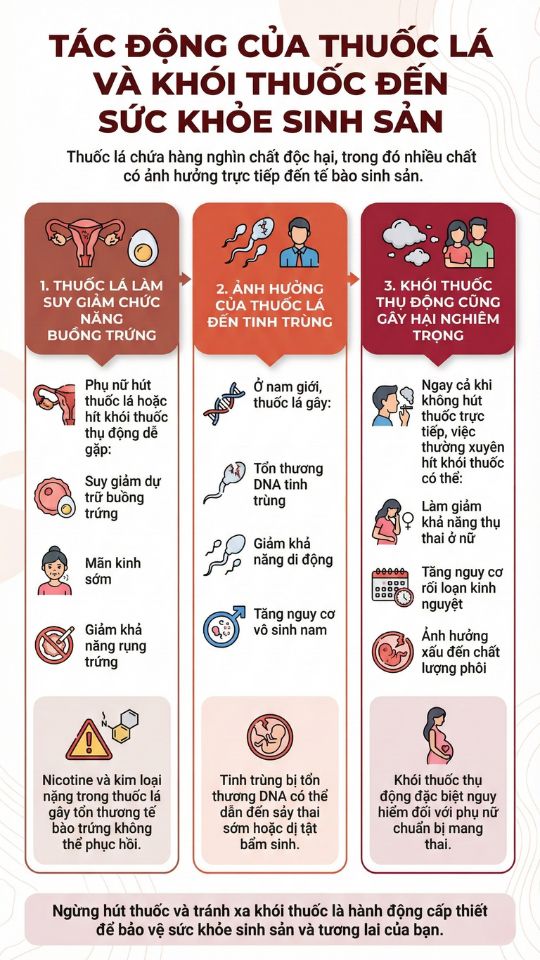 tác động của thuốc lá và khói thuốc đến sức khỏe sinh sản