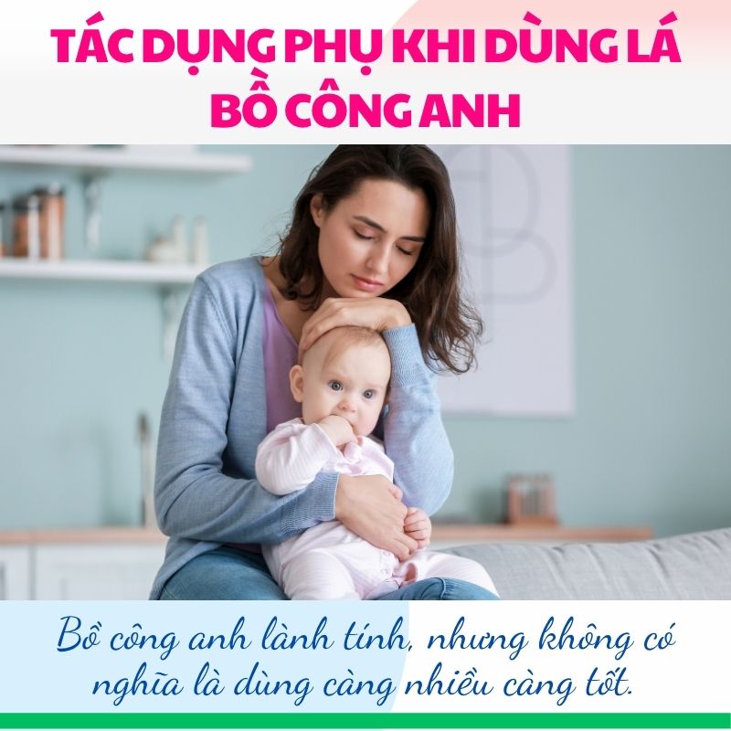 Bồ công anh lành tính, nhưng không có nghĩa là dùng càng nhiều càng tốt.