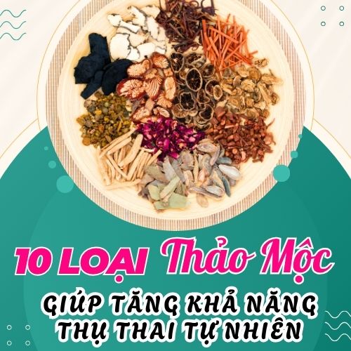 10 loại thảo mộc giúp tăng khả năng thụ thai tự nhiên