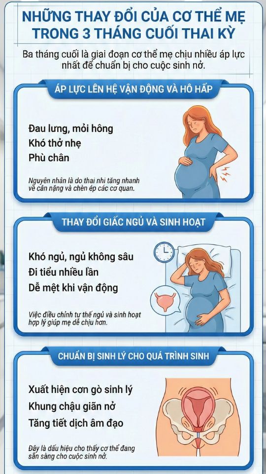 những thay đổi của cơ thể mẹ bầu trong 3 tháng cuối thai kỳ