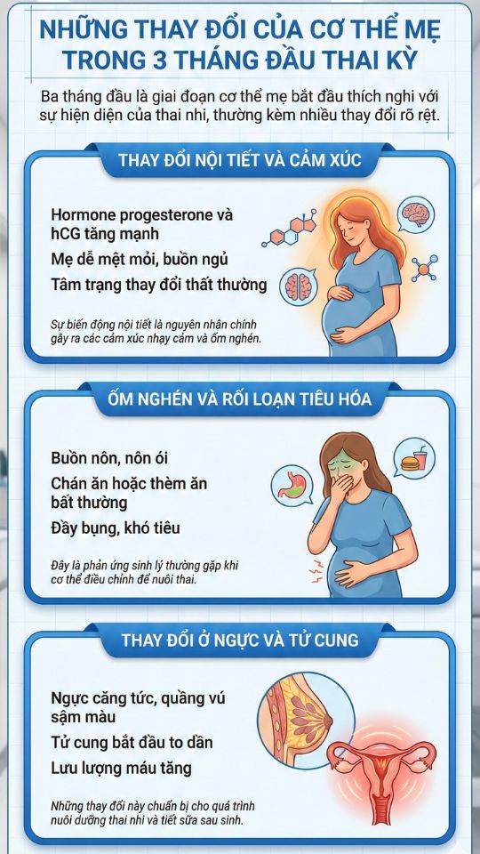 những thay đổi của cơ thể mẹ bầu trong 3 tháng đầu thai kỳ