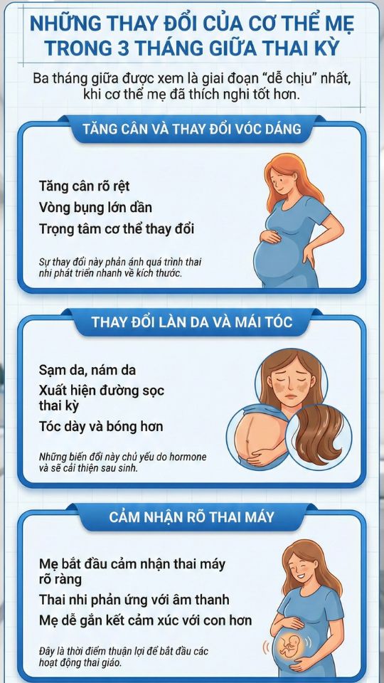 những thay đổi của cơ thể mẹ bầu trong 3 tháng giữa thai kỳ