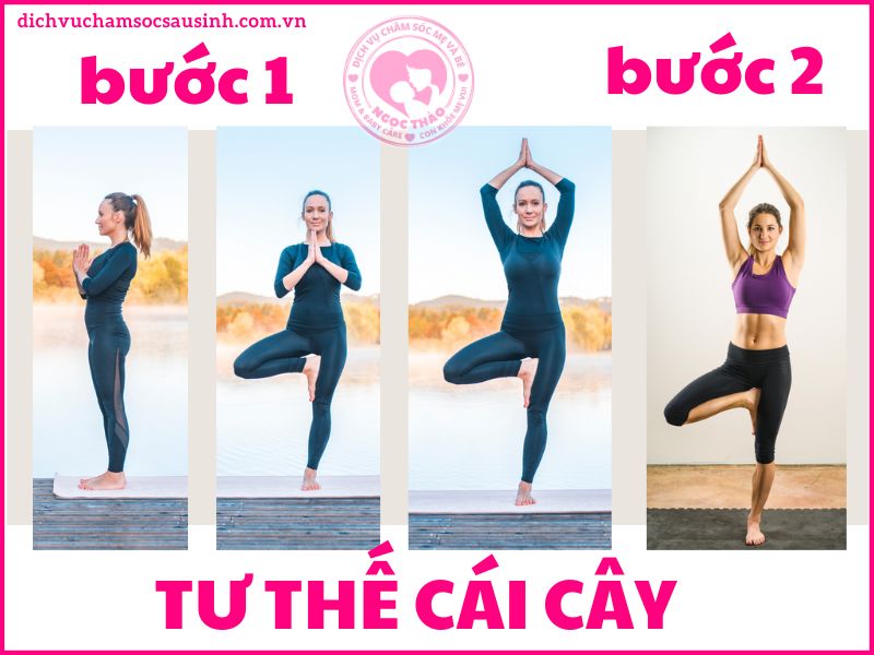 Tư thế cái cây