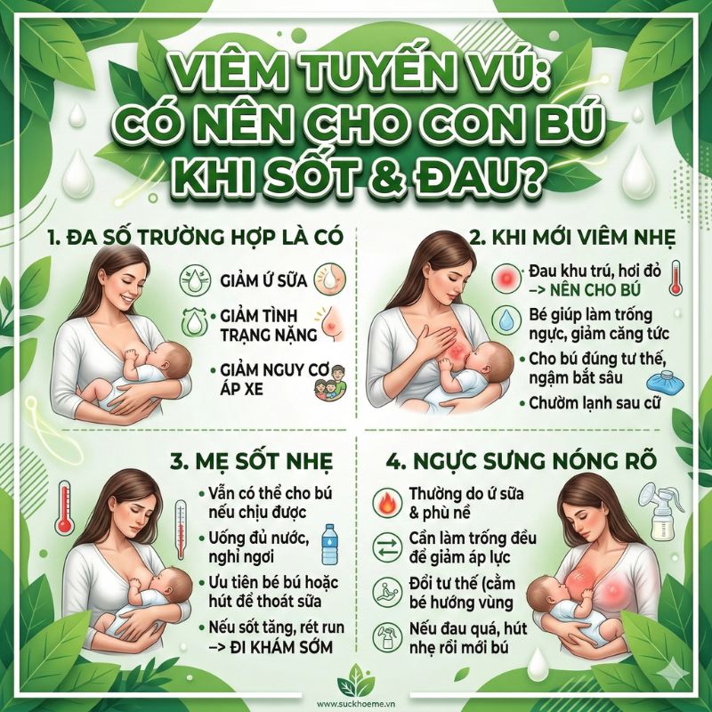 viêm tuyến vú có nên cho con bú khi sốt và đau